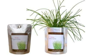 Pocket Garden